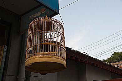 《愿景之城》：建设你的理想城市